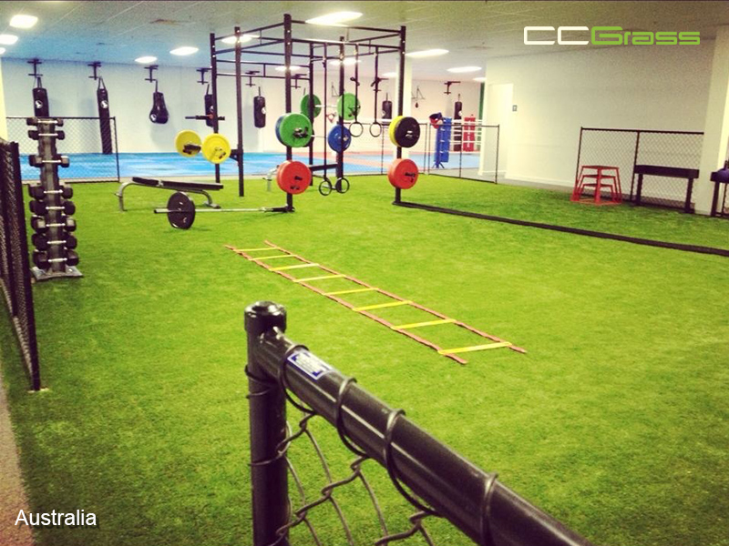 CCGrass, suelo de césped para gimnasios de interior