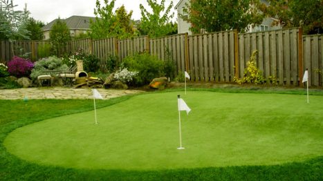 Backyard Putting Green FAQs: Perfect Home Setup Guide