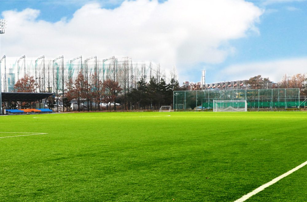 Gwangju Institute of Science & Technology Football Field, Gwangju (Korea Republic)