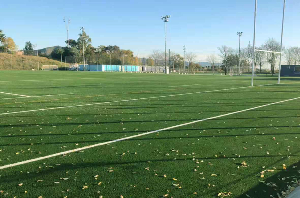 CEM Vall de Hebron, 3G Pitch (Spain)