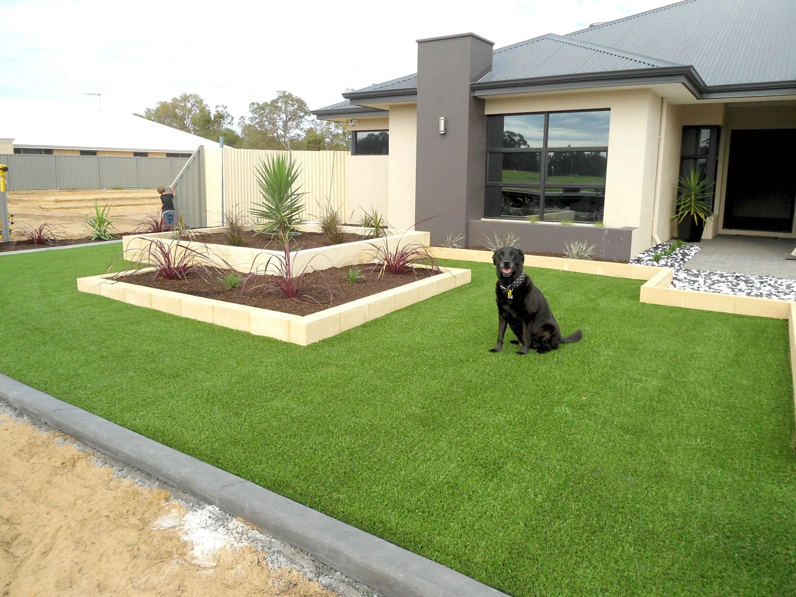 How To Choose A Reliable Artificial Grass For Dogs Ccgrass