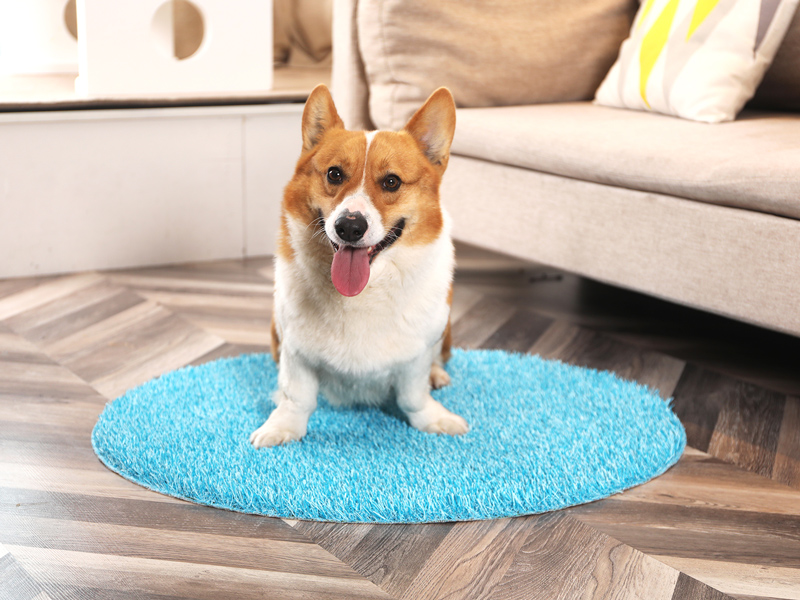 CCGrass, stylish and practical indoor pet mat