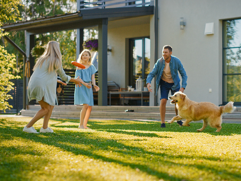 Pet-friendly backyard turf