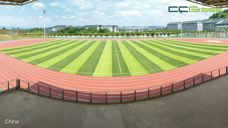 CCGrass, 4G pitch, non-infill soccer field