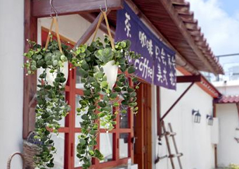 Elegant Entryways