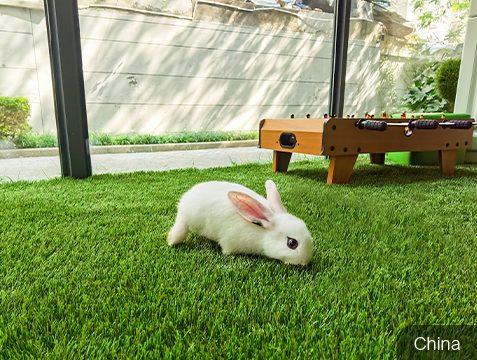 Cozy Indoor Pet Turf Areas