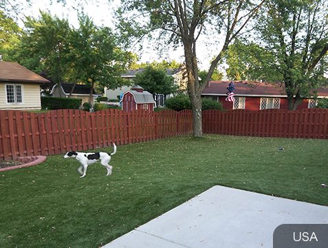 Popular Pet Turf Applications