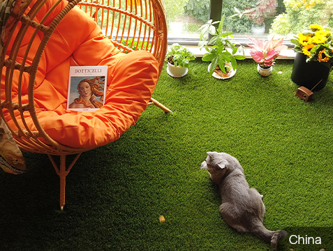 Popular Pet Turf Applications