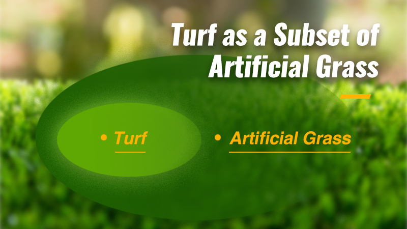 Turf as a Subset of Artificial Grass